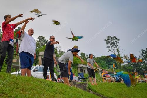 KOMUNITI KUALA LUMPUR FREE FLY