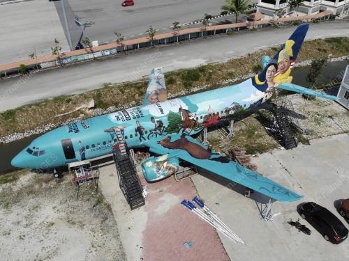 MURAL BOEING 737
