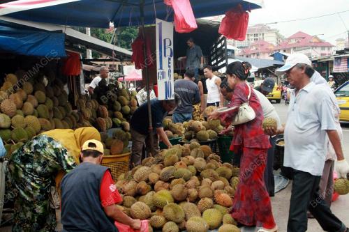 MUSIN DURIAN