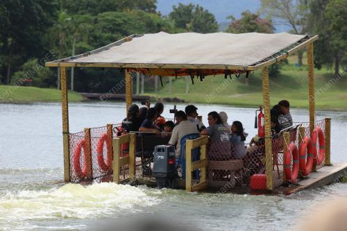 AÃ•FAMOSA SAFARI WONDERLAND