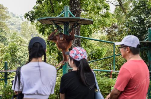 TINJAUAN ZOO NEGARA