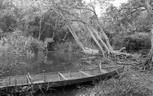 KL21_27012015_TASIK_CHINI