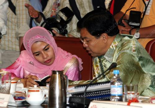 MAJLIS TERTINGGI UMNO