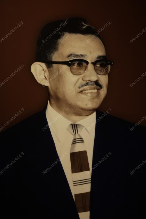 TUN DR ISMAIL