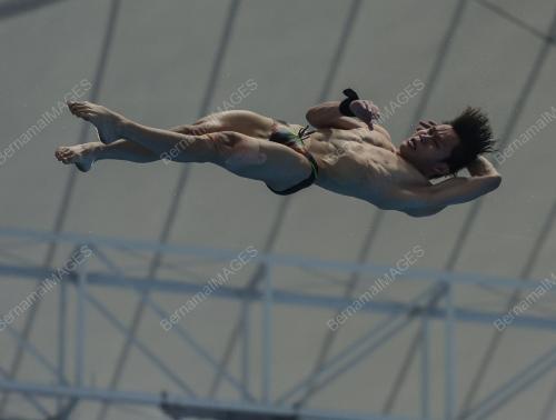 FINA DIVING GRAND PRIX 2022