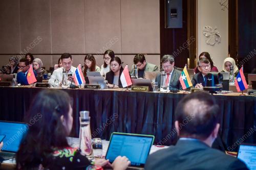 ASEAN REPRESENTATIVE