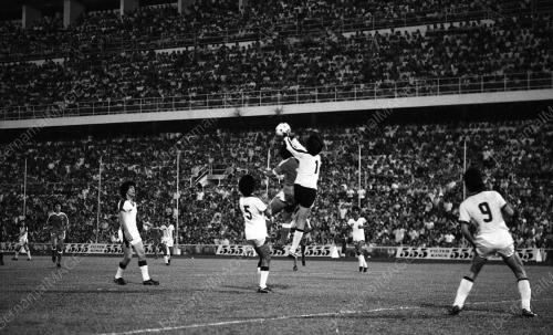 SELANGOR VS SINGAPURA