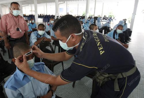 H1N1