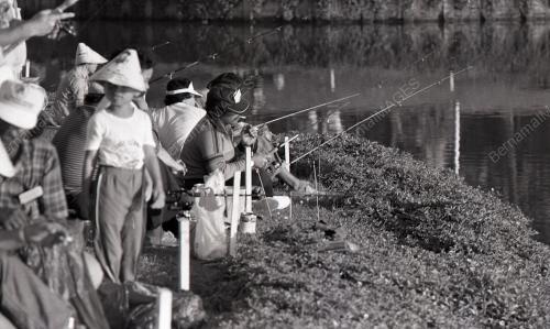 MEMANCING