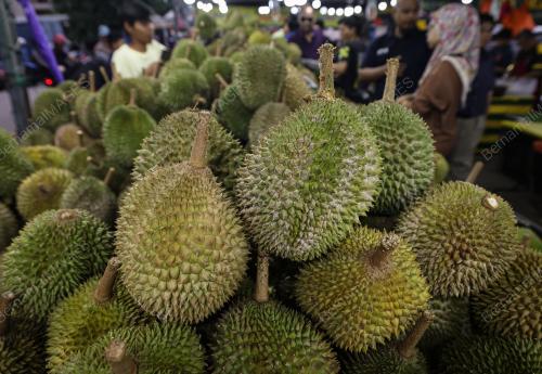 RIZKY DURIAN