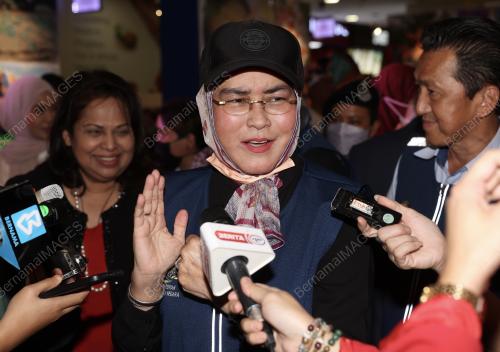 DATUK HALIMAH MOHAMED SADIQUE