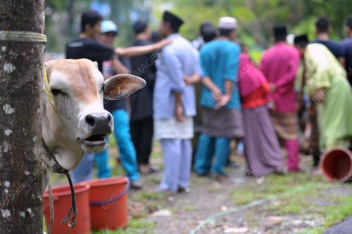 KL22_05102014_KORBAN