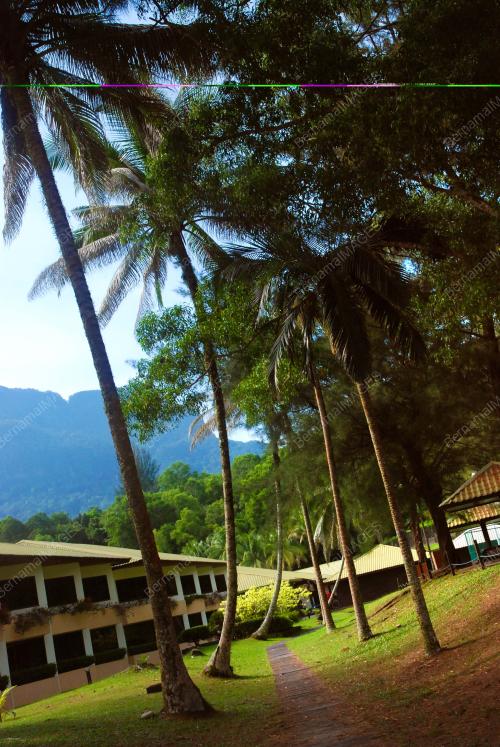 DAMAI BEACH RESORT