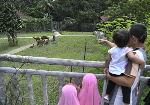 TINJAUAN AKTIVITI RIADAH DAN TAMAN REKREASI DIBUKA