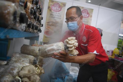 DATUK SERI DR RONALD KIANDEE