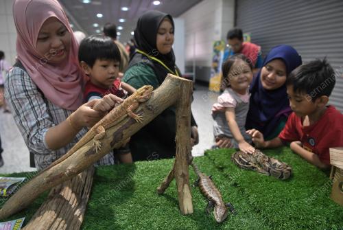 KL22_06102018_PETTING_ZOO