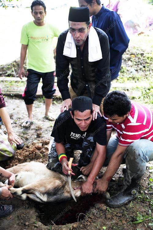 KORBAN AIDIL ADHA RUMAH PENGASIH