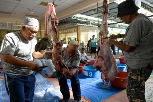 KORBAN HARI RAYA AIDILADHA