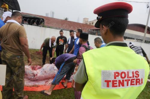 KL22_12092016_QURBAN_KEMENTAH
