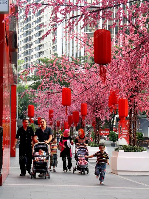 TAHUN BARU CINA