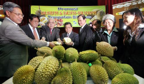 MAKAN DURIAN