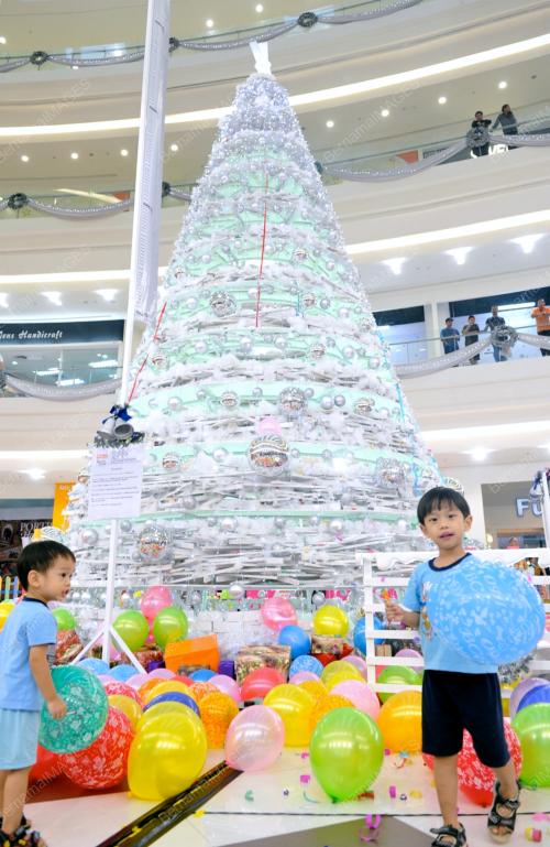 POKOK_KRISMAS TERTINGGI