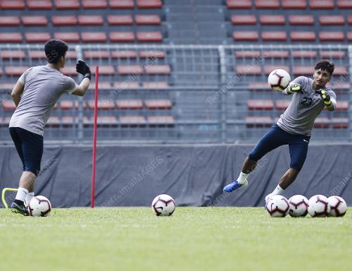 KL22_16112019_HARIMAU_BN201911157900