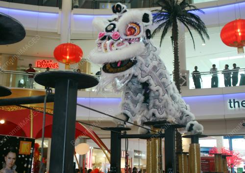 KL22_17012011_LION_DANCE