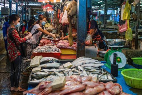 PERSIAPAN AWAL MENJELANG PERAYAAN AIDILADHA