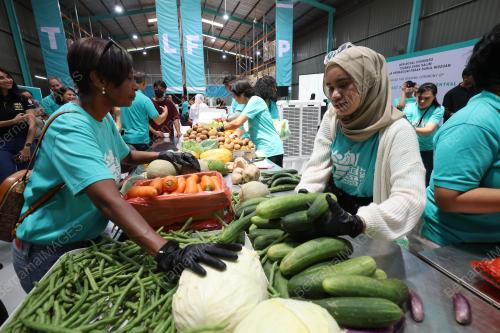 THE LOST FOOD PROJECT