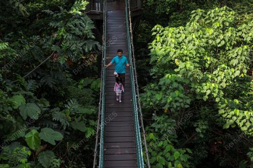 HUTAN SIMPAN EKO RIMBA KUALA LUMPUR