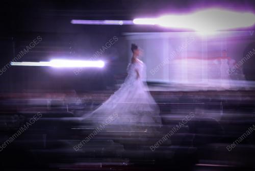 TIMELESS LOVE