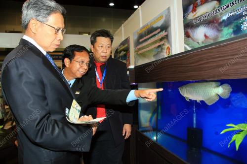 MUSTAPA MOHAMED