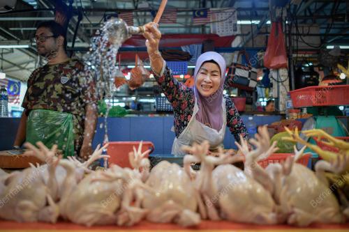 SKIM HARGA MAKSIMUM MUSIM PERAYAAN KRISMAS