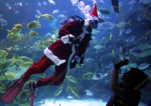 SANTA CLAUS_AQUARIA