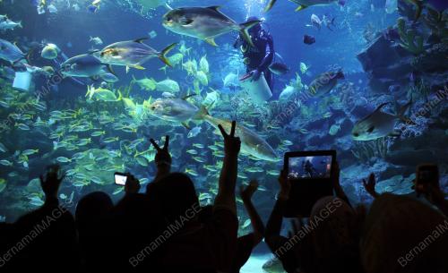 KL22_24012012_AQUARIA