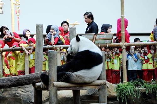 KL22_26022015_PANDA