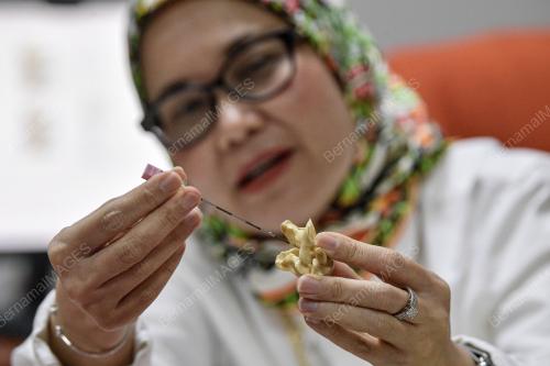 PROF MADYA DR AZARINAH IZAHAM