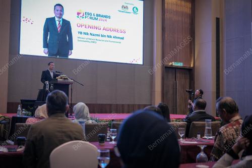 NIK NAZMI NIK AHMAD