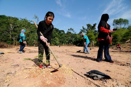 KL22_28032015_HARI_HUTAN