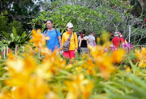 KL22_29012017_TAMAN_ORKID