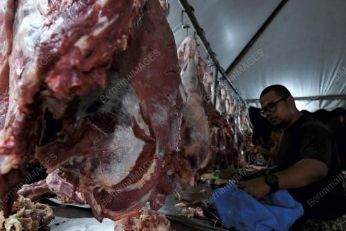 KL23_02062019_DAGING
