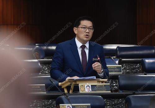 SENATOR DATUK LIM BAN HONG