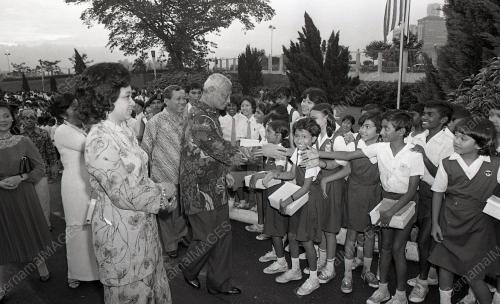 JAMUAN TEH