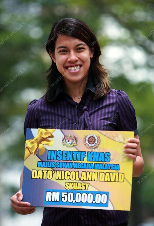 NICOL ANN DAVID