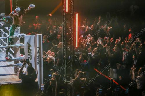 FURY CAMPIONSHIP