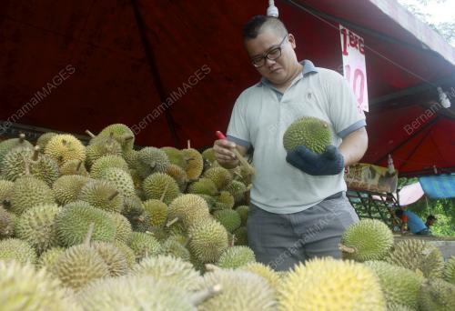 KL23_06122012_DURIAN