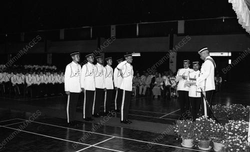 PALAPES
