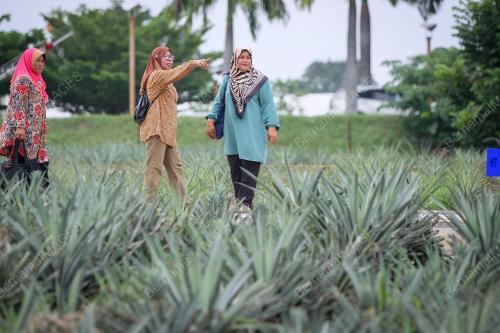KL23_08122016_TINJAUAN