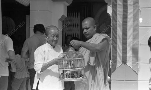 KL23_13012015_HARI_WESAK